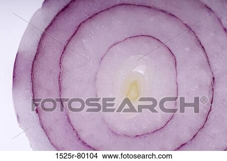 Close-up of a slice of onion View Large Photo Image Picture - Close-up of a slice of onion. Fotosearch