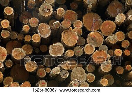 Close-up of a stack of logs View Large Photo Image Stock Photo - Close-up of a stack of logs. Fotosearch