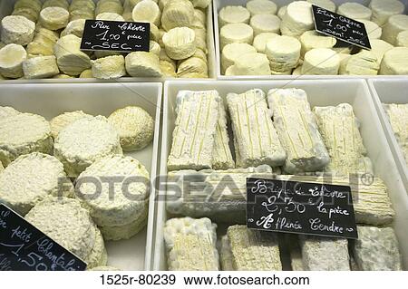 Close-up of assorted cheese in trays View Large Photo Image Stock Photo - Close-up of assorted cheese in trays. Fotosearch