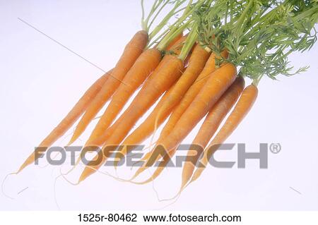Close-up of carrots View Large Photo Image Stock Image - Close-up of carrots. Fotosearch