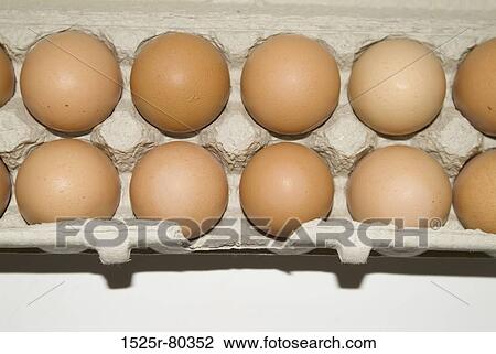 Close-up of eggs on a egg carton View Large Photo Image Stock Image - Close-up of eggs on a egg carton. Fotosearch