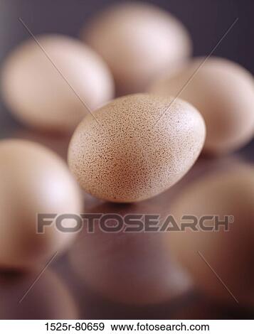 Close-up of eggs on a table View Large Photo Image Stock Photo - Close-up of eggs on a table. Fotosearch
