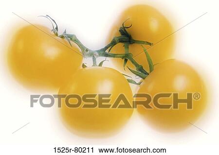 Close-up of four tomatoes View Large Photo Image Stock Image - Close-up of four tomatoes. Fotosearch