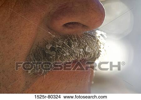 Close-up of ice formation on a man's mustache View Large Photo Image Picture - Close-up of ice formation on a man's mustache. Fotosearch