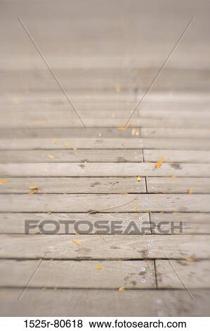 Close-up of leaves on a floorboard View Large Photo Image Stock Photo - Close-up of leaves on a floorboard. Fotosearch