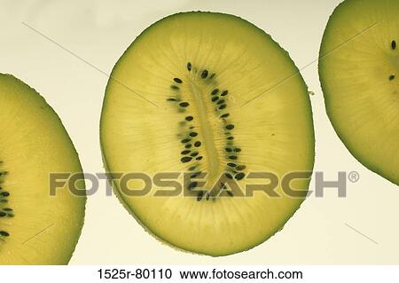 Close-up of slices of kiwi fruit View Large Photo Image Stock Image - Close-up of slices of kiwi fruit. Fotosearch