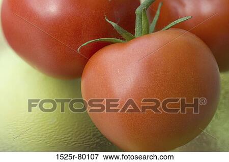 Close-up of tomatoes View Large Photo Image Stock Photo - Close-up of tomatoes. Fotosearch
