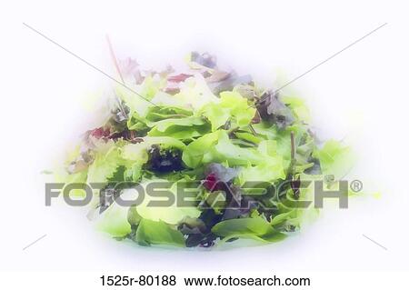 Close-up of vegetable salad View Large Photo Image Stock Photo - Close-up of vegetable salad. Fotosearch