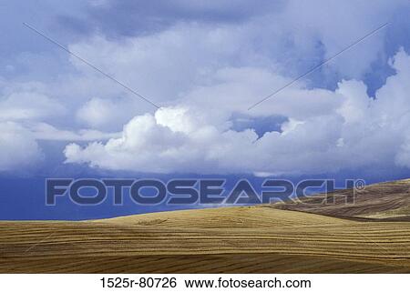 Cloud over a landscape View Large Photo Image Stock Photograph - Cloud over a landscape. Fotosearch