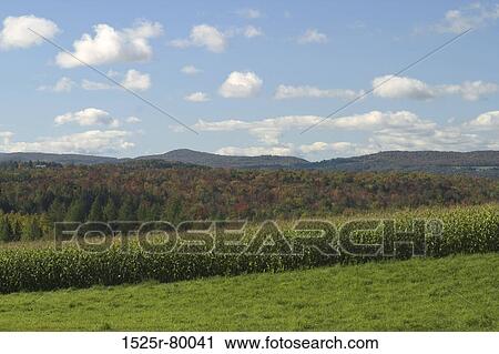 Clouds over a landscape View Large Photo Image Stock Image - Clouds over a landscape. Fotosearch