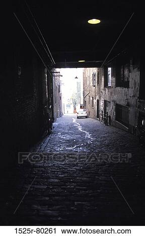 Stock Image - Cobblestone path passing through an alley. Fotosearch