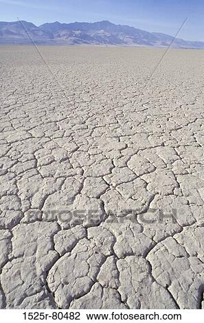 Stock Image - Cracked surface of an arid landscape. Fotosearch