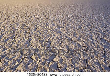 Cracked surface of an arid landscape View Large Photo Image Stock Image - Cracked surface of an arid landscape. Fotosearch