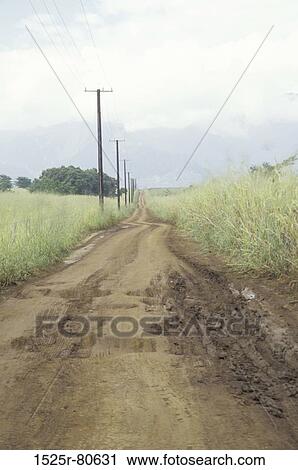 Dirt road passing through a field View Large Photo Image Stock Image - Dirt road passing through a field. Fotosearch