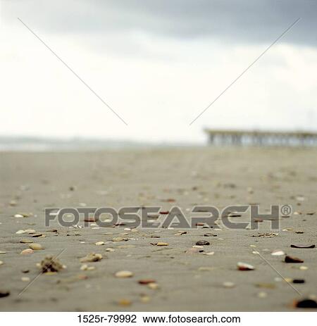 Dried leaves on an empty road View Large Photo Image Stock Image - Dried leaves on an empty road. Fotosearch