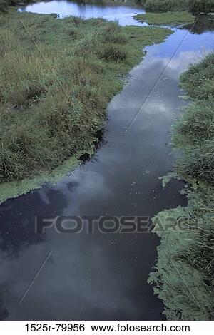 Stock Photograph - High angle view of a stream. Fotosearch