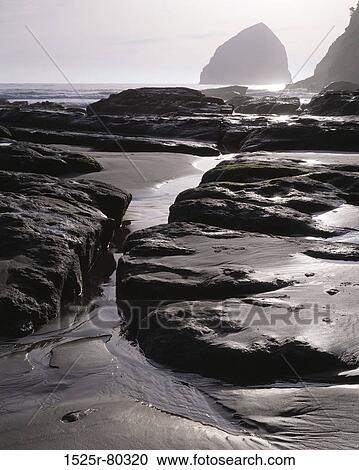 High angle view of rocks on the coast, Cape Kiwanda, Oregon, USA View Large Photo Image Stock Image - High angle view of rocks on the coast, Cape Kiwanda, Oregon, USA. Fotosearch