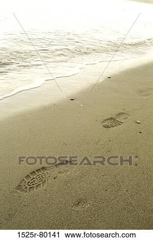 High angle view of shoe prints on the beach View Large Photo Image Stock Image - High angle view of shoe prints on the beach. Fotosearch