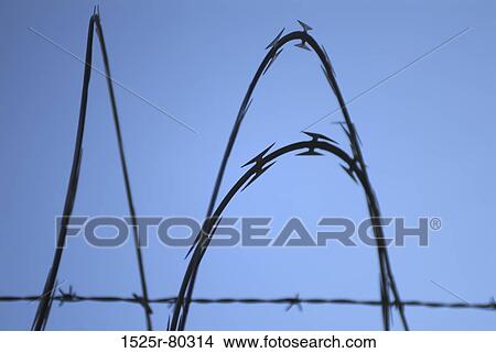 Picture - Low angle view of a barbed wire. Fotosearch