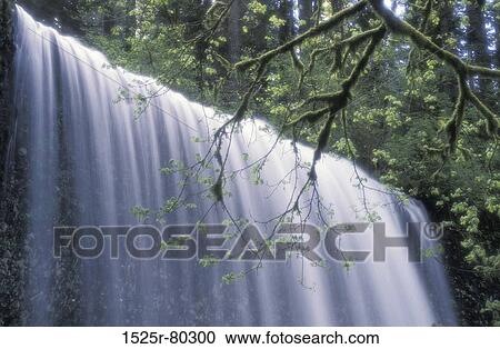Low angle view of a waterfall in the forest View Large Photo Image Stock Image - Low angle view of a waterfall in the forest. Fotosearch
