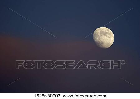 Low angle view of full moon in the sky View Large Photo Image Stock Photo - Low angle view of full moon in the sky. Fotosearch