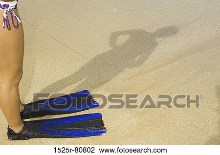 Low section view of a woman wearing flippers standing on the beach View Large Photo Image Stock Image - Low section view of a woman wearing flippers standing on the beach. Fotosearch