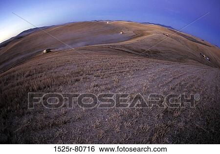 Panoramic view of a landscape View Large Photo Image Stock Photograph - Panoramic view of a landscape. Fotosearch