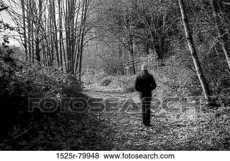 Rear view of a person walking in a forest View Large Photo Image Stock Photo - Rear view of a person walking in a forest. Fotosearch