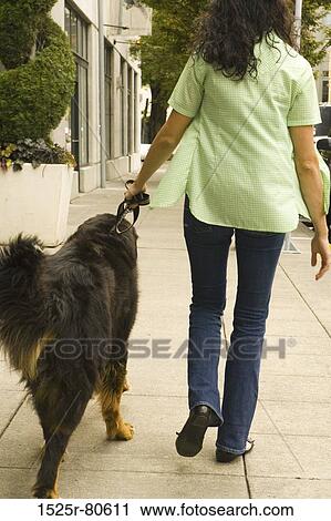 Rear view of a woman walking with a dog View Large Photo Image Stock Image - Rear view of a woman walking with a dog. Fotosearch
