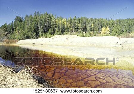 Reflection of trees in water View Large Photo Image Stock Photo - Reflection of trees in water. Fotosearch