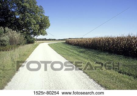 Road running through a landscape View Large Photo Image Picture - Road running through a landscape. Fotosearch