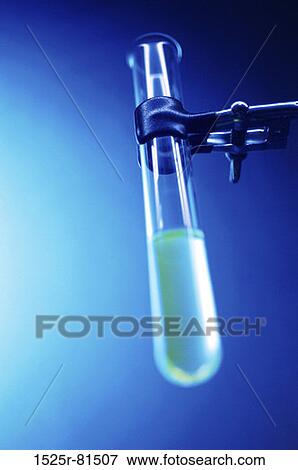Clamp stand holding a test tube in a laboratory View Large Photo Image Stock Photo - Clamp stand holding a test tube in a laboratory. Fotosearch