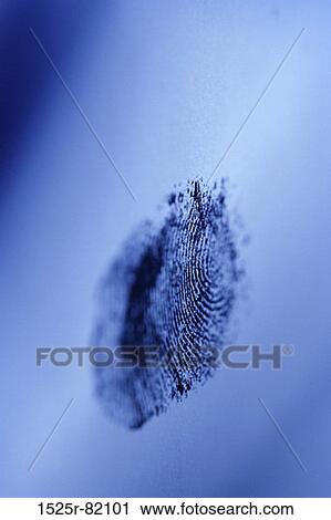 Close-up of a fingerprint View Large Photo Image Stock Image - Close-up of a fingerprint. Fotosearch