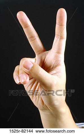 Close-up of a person's hand showing the victory sign View Large Photo Image Picture - Close-up of a person's hand showing the victory sign. Fotosearch