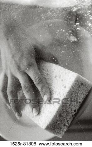 Close-up of a person's hand washing dishes with a sponge View Large Photo Image Stock Photo - Close-up of a person's hand washing dishes with a sponge. Fotosearch