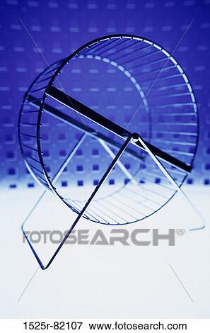 Close-up of an exercise wheel View Large Photo Image Stock Photo - Close-up of an exercise wheel. Fotosearch