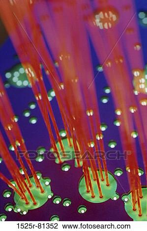 Close-up of fiber optic cables View Large Photo Image Stock Image - Close-up of fiber optic cables. Fotosearch