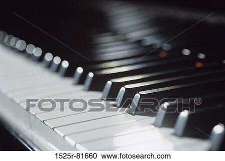 Close-up of the keys of a piano View Large Photo Image Stock Image - Close-up of the keys of a piano. Fotosearch