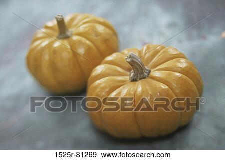 Close-up of two pumpkins View Large Photo Image Stock Photo - Close-up of two pumpkins. Fotosearch