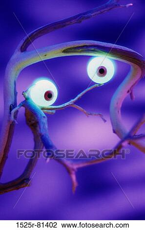 Stock Image - Glowing human eyes on a tree. Fotosearch