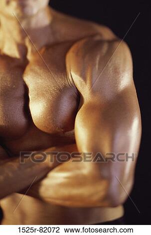 Mid section view of a young man standing with his arms folded View Large Photo Image Stock Image - Mid section view of a young man standing with his arms folded. Fotosearch
