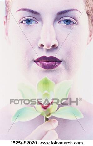 Portrait of a young woman holding a flower View Large Photo Image Stock Image - Portrait of a young woman holding a flower. Fotosearch