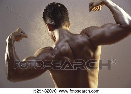 Stock Image - Rear view of a young man flexing his biceps. Fotosearch