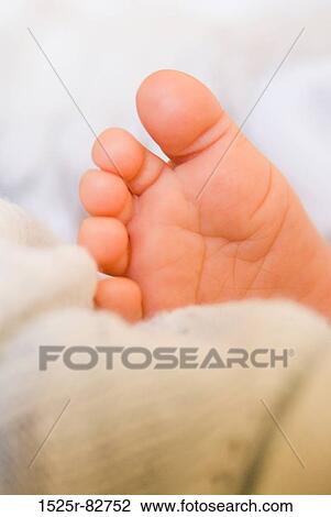Close-up of a baby's foot View Large Photo Image Stock Image - Close-up of a baby's foot. Fotosearch