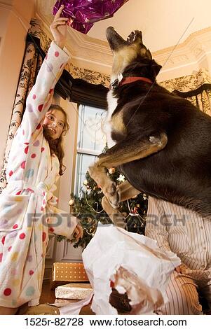 Girl playing with a dog View Large Photo Image Stock Photo - Girl playing with a dog. Fotosearch