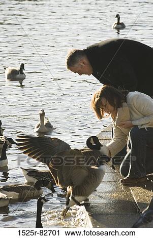 Stock Image - Mature couple looking at ducks in a pond. Fotosearch