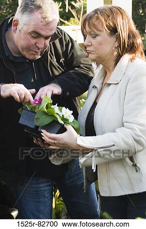 Mature couple looking at flowers in a box View Large Photo Image Stock Image - Mature couple looking at flowers in a box. Fotosearch