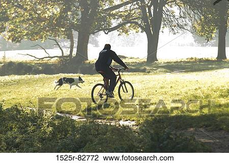 Rear view of a young man riding a bicycle in a park View Large Photo Image Stock Image - Rear view of a young man riding a bicycle in a park. Fotosearch