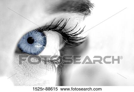 Close-up of very blue eye View Large Photo Image Stock Photography - Close-up of very blue eye. Fotosearch