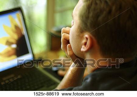 Man gazing into computer that has picture of sunflower View Large Photo Image Stock Photo - Man gazing into computer that has picture of sunflower. Fotosearch
